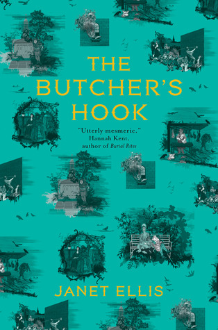 The Butcher's Hook (Paperback)