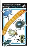 The Complete Guid...