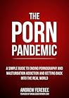 The Porn Pandemic: A Simple Guide To Understanding And Ending Pornography Addiction For Men