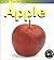 Life Cycle of an Apple