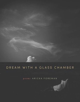 Dream With A Glass Chamber