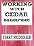 Working With Cedar: The Early Years