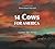 14 Cows for America by Carmen Agra Deedy