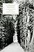 In Memoriam (Broadview Editions)