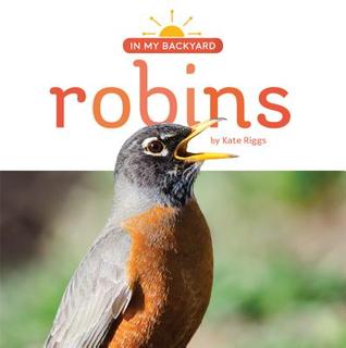 Robins (In My Backyard)