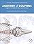Anatomy of Dolphins: Insights into Body Structure and Function