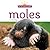Moles (In My Backyard)