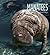 Manatees (Living Wild)