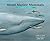 About Marine Mammals by Cathryn Sill