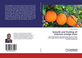 Growth and fruiting of Valencia orange trees