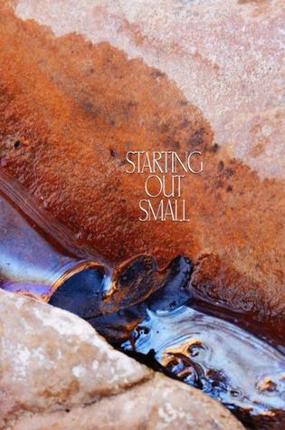 Starting Out Small: A Collection of Talks for Beginning Meditators