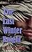 The Last Winter Knight