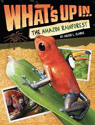 What's Up in the Amazon Rainforest (Paperback)