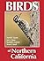 Birds of Northern California