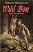 Wild Boy by Nancy Springer