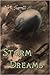 Storm Dreams by J.R.  Sherrill