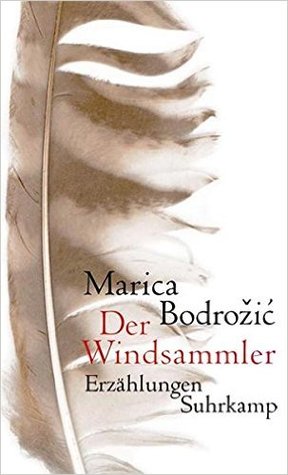 Der Windsammler: Erzählungen (Hardcover)