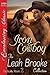 Iron Cowboy (Erotically Yours #2)