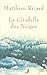 La Citadelle des neiges by Matthieu Ricard