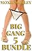 Big Gang 5 Bundle: 2 on 1, 3 on 1, 5 on 1 short stories GANG bundle
