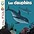 Les dauphins (Mes p'tits docs)
