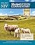 NIV® Standard Lesson Commentary® 2016-2017 by Ronald L. Nickelson