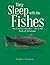 They Sleep With the Fishes: The Cosenza Brothers - the Early Years of Adventure