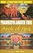 Arok of Java by Pramoedya Ananta Toer