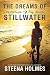 Stillwater Tides (Stillwate...