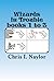 Camelot Wizards books 1 to 3