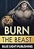 Burn the Beast