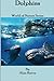 Dolphins - Awesome Facts & ...