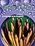 Encyclopedia of Bible Truths-Language Arts/English by Ruth C. Haycock