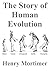 The Story of Human Evolution