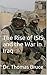 The Gulf and Iraq Wars by Thomas Bruce
