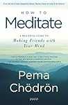 How to Meditate by Pema Chödrön