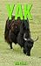 Yak: Children Book of Fun Facts & Amazing Photos on Animals in Nature - A Wonderful Yak Book for Kids aged 3-7