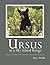 Ursus In A Sky Island Range by Steve Pavlik