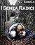 I Senza Radici by C. Romolo