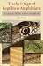Tracks & Sign of Reptiles &...