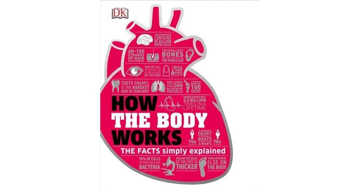 How the Body Works by D.K. Publishing