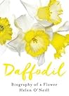 Daffodil by Helen O'Neill