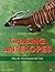 Chasing Antelopes: Why All This Caused All That