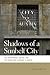 Shadows of a Sunbelt City: The Environment, Racism, and the Knowledge Economy in Austin (Geographies of Justice and Social Transformation)