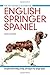 English Springer Spaniel