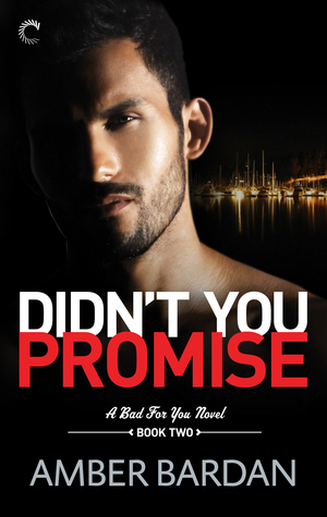 Didn't You Promise? (Bad for You, #2)