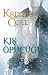 Kış Öpücüğü (Immortals After Dark, #8)
