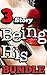 3 Story Being His Bundle (The Brutal Series)