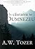 In cautarea lui Dumnezeu by A.W. Tozer In cautarea lui Dumnezeu by A.W. Tozer