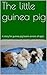 The little guinea pig: A story for guinea pig lovers across all ages